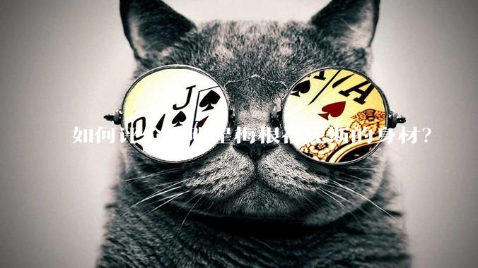 如何评价女明星梅根福克斯的身材？