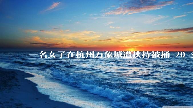 一名女子在杭州万象城遭挟持被捅 20 多刀，隆胸***体救了一命，这反映出哪些公安系统的问题？